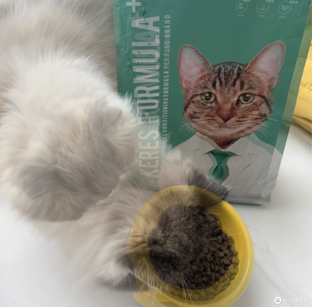 双11冻干猫粮让挑食猫变干饭王