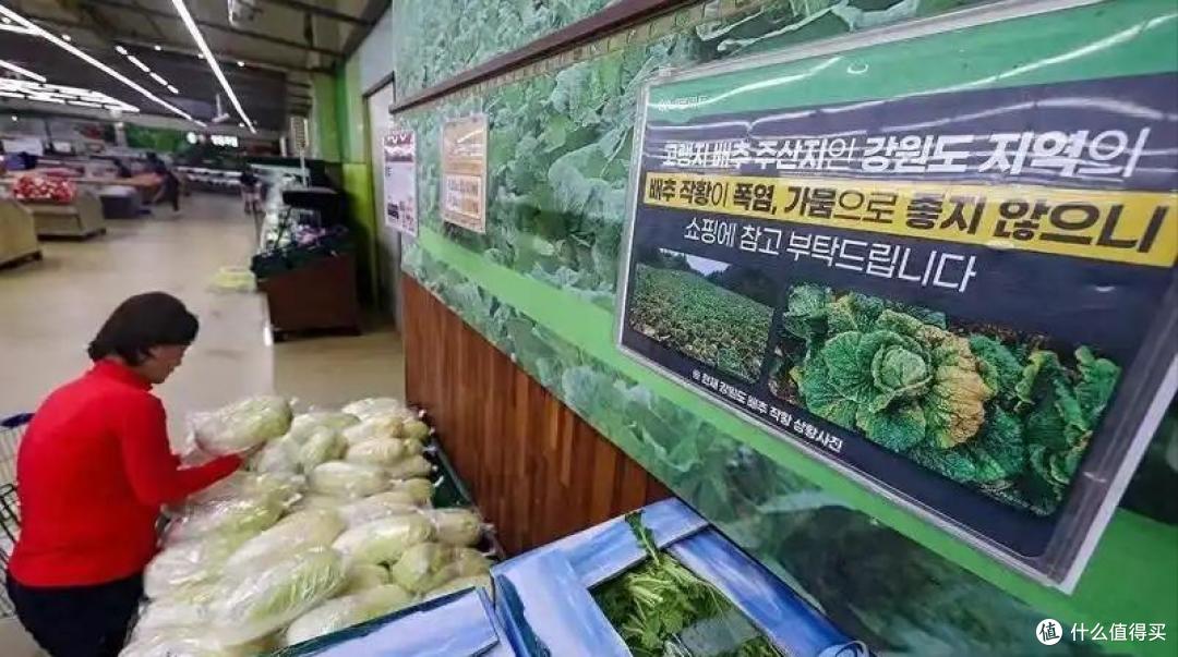 啪啪打脸!韩国人口头喊着:饿死也不吃中国白菜,却在私下偷偷买
