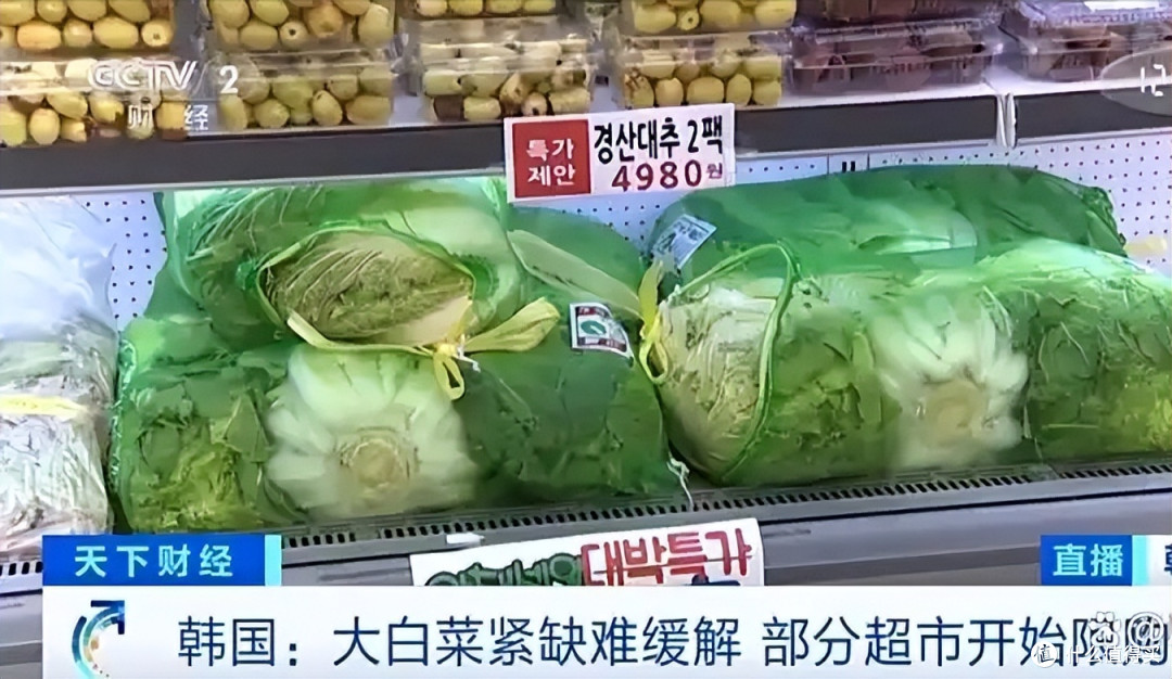 啪啪打脸!韩国人口头喊着:饿死也不吃中国白菜,却在私下偷偷买