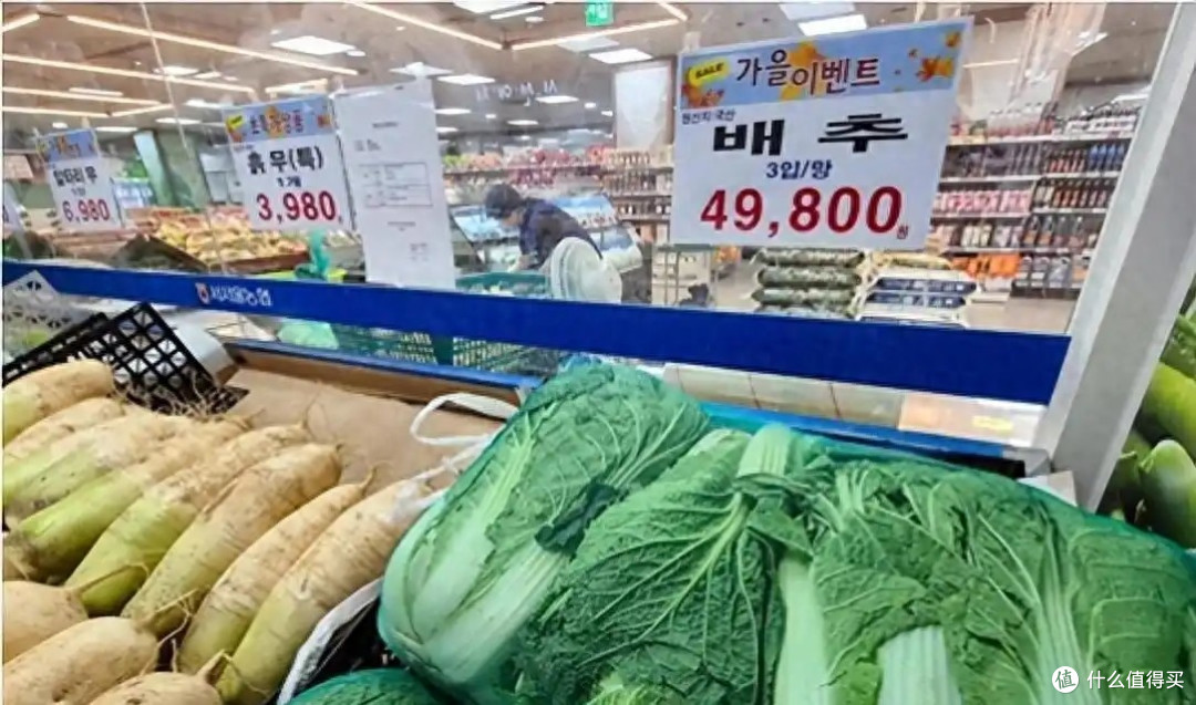 啪啪打脸!韩国人口头喊着:饿死也不吃中国白菜,却在私下偷偷买