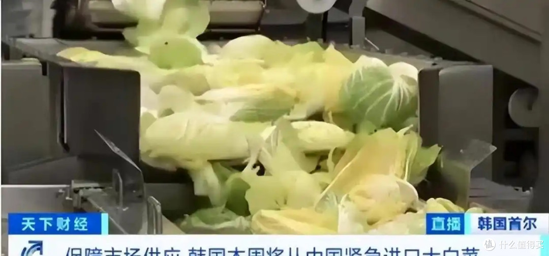 啪啪打脸!韩国人口头喊着:饿死也不吃中国白菜,却在私下偷偷买