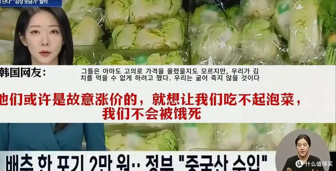 啪啪打脸!韩国人口头喊着:饿死也不吃中国白菜,却在私下偷偷买