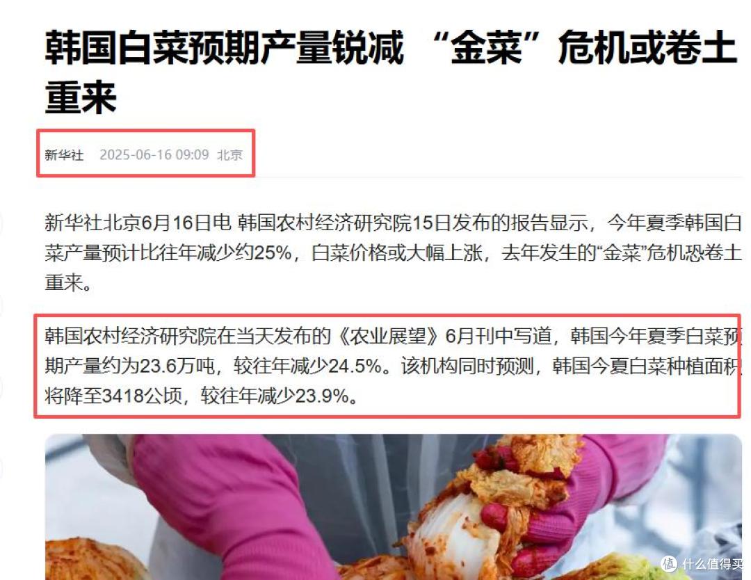 啪啪打脸!韩国人口头喊着:饿死也不吃中国白菜,却在私下偷偷买