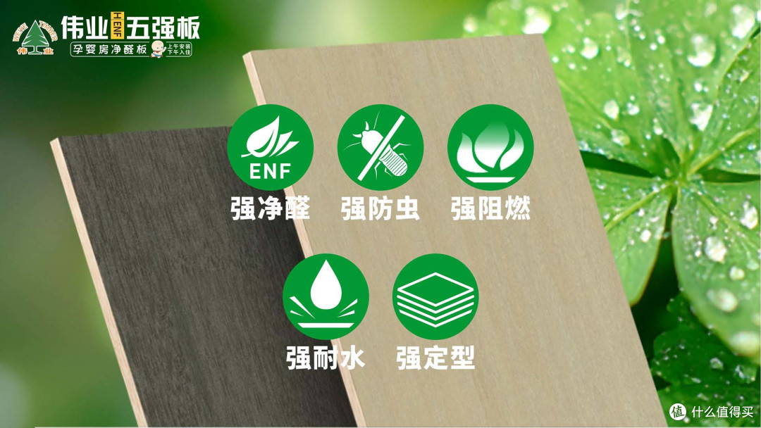家装藏毒?伟业五强板+无机生态胶,给家人100%安全守护