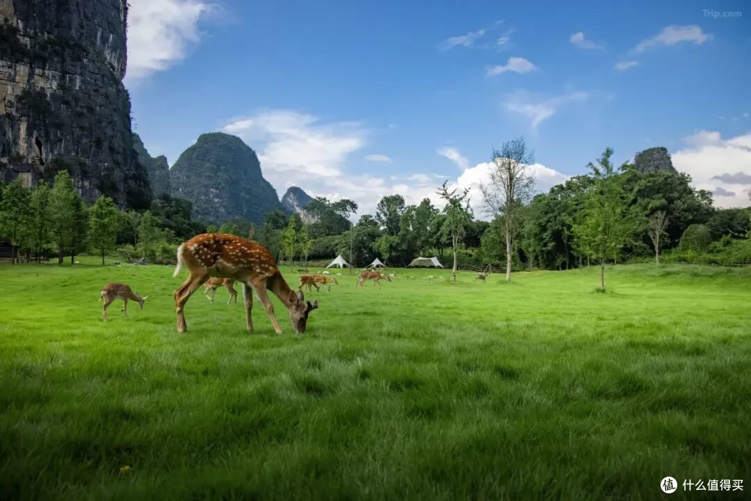 中国顶级的山水盛宴,现在去简直就是性价比的神啊!