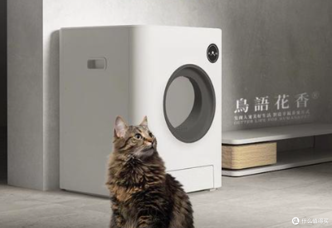2025 电动猫厕所真实测评!一篇文章搞定你的选择难题