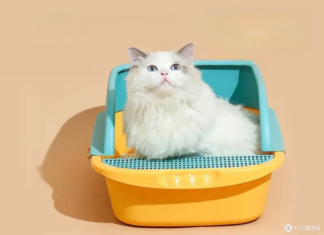 你家猫咪的舒适小窝？