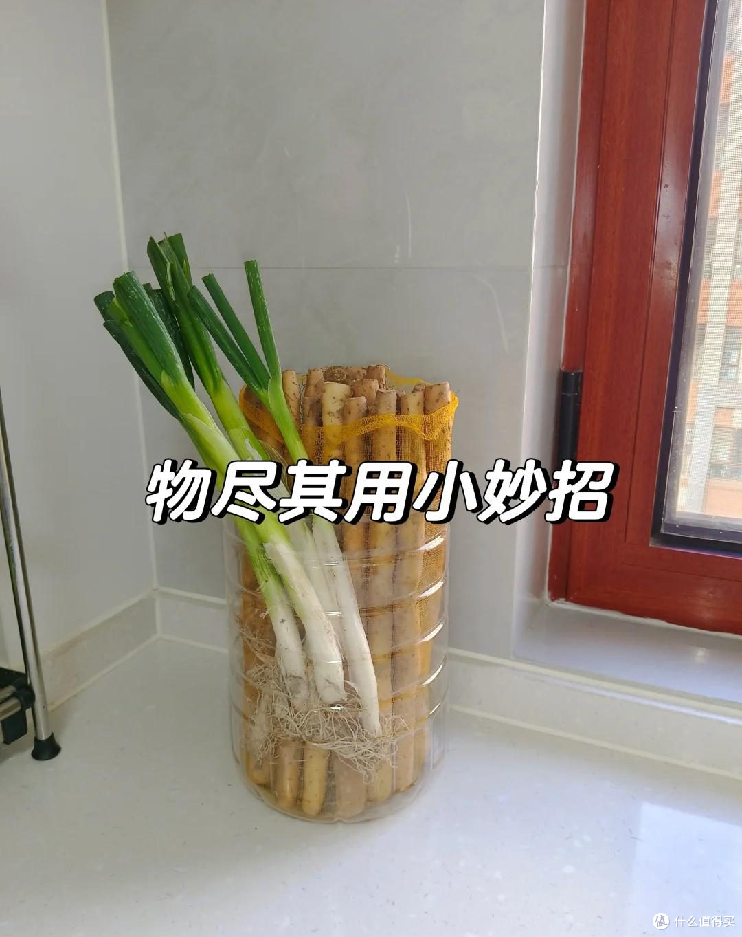 跟年轻人学学,不花一分钱,家里照样整齐有序,让收纳变得简单!