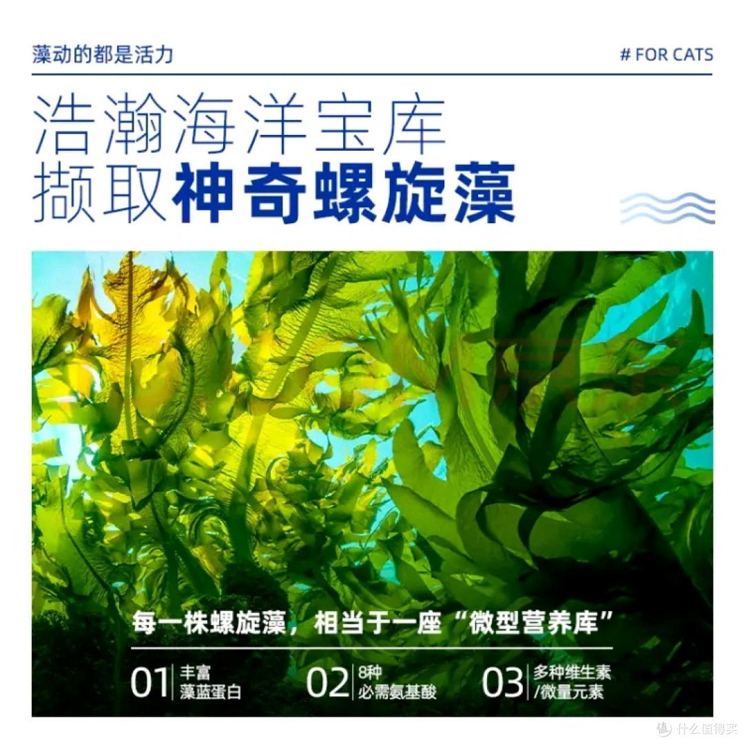 麦富迪狗粮 藻趣儿狗粮成犬粮牛肉螺旋藻 均衡营养 毛孩子爱吃