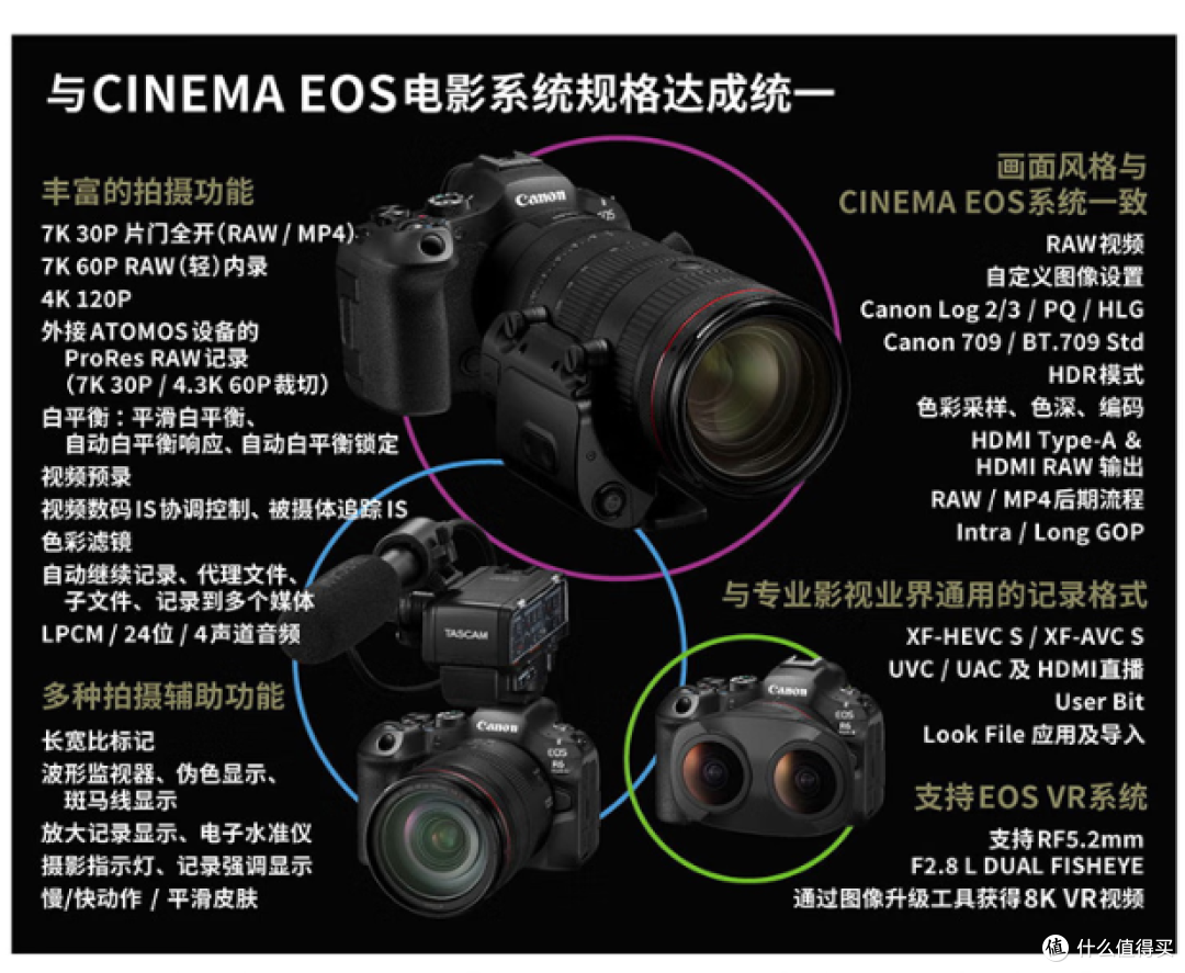 佳能EOS R6 Mark III：全画幅微单的性能标杆，摄影人的理想搭档