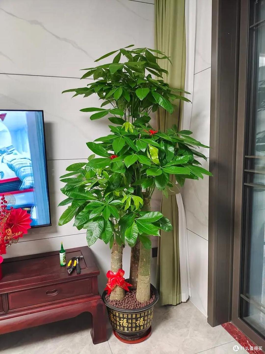 14楼能不能买?有人担心“谐音不好”,也有很多人抢着要!