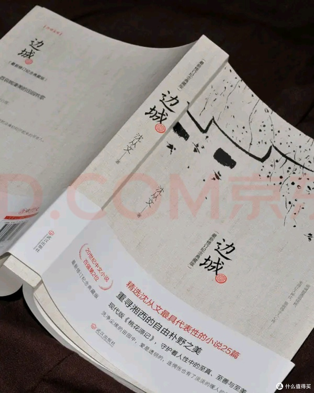 《边城》典藏版：全家共享的文学宝藏