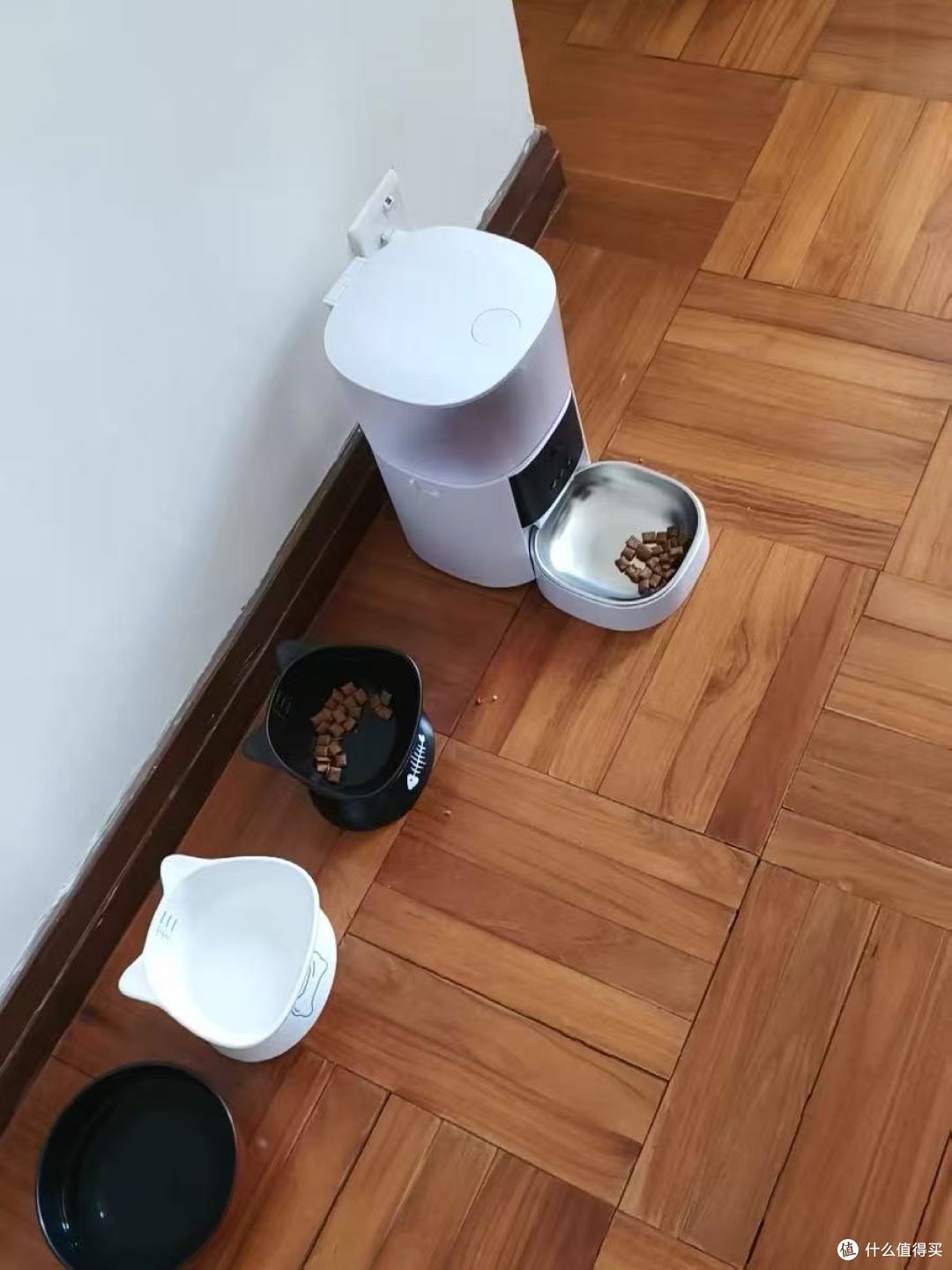 Petfong宠物智能喂食器实测!打工人养宠再也不慌了🐱🐶