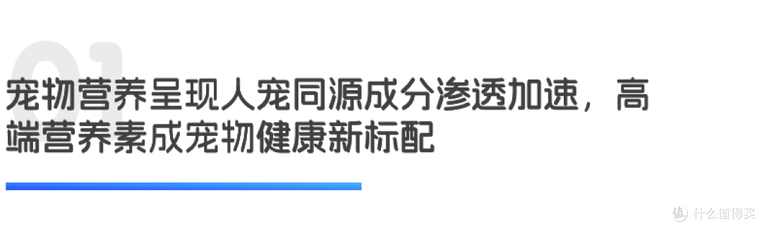 人宠同源2.0 从营养到出行的精致养宠｜世研消费指数产品榜Vol.91