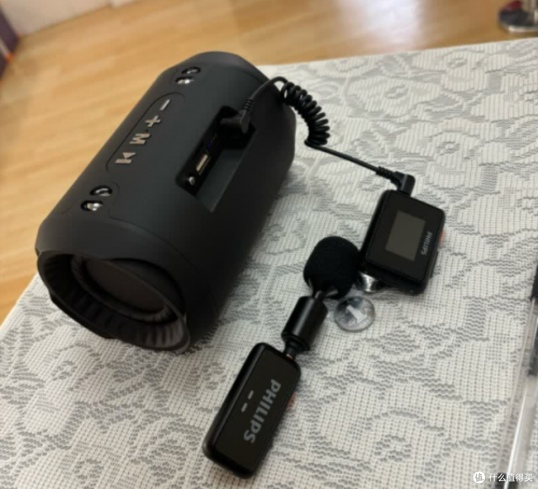 扩音器哪个品牌好?什么牌子的小蜜蜂扩音器最好?扩音器推荐2025