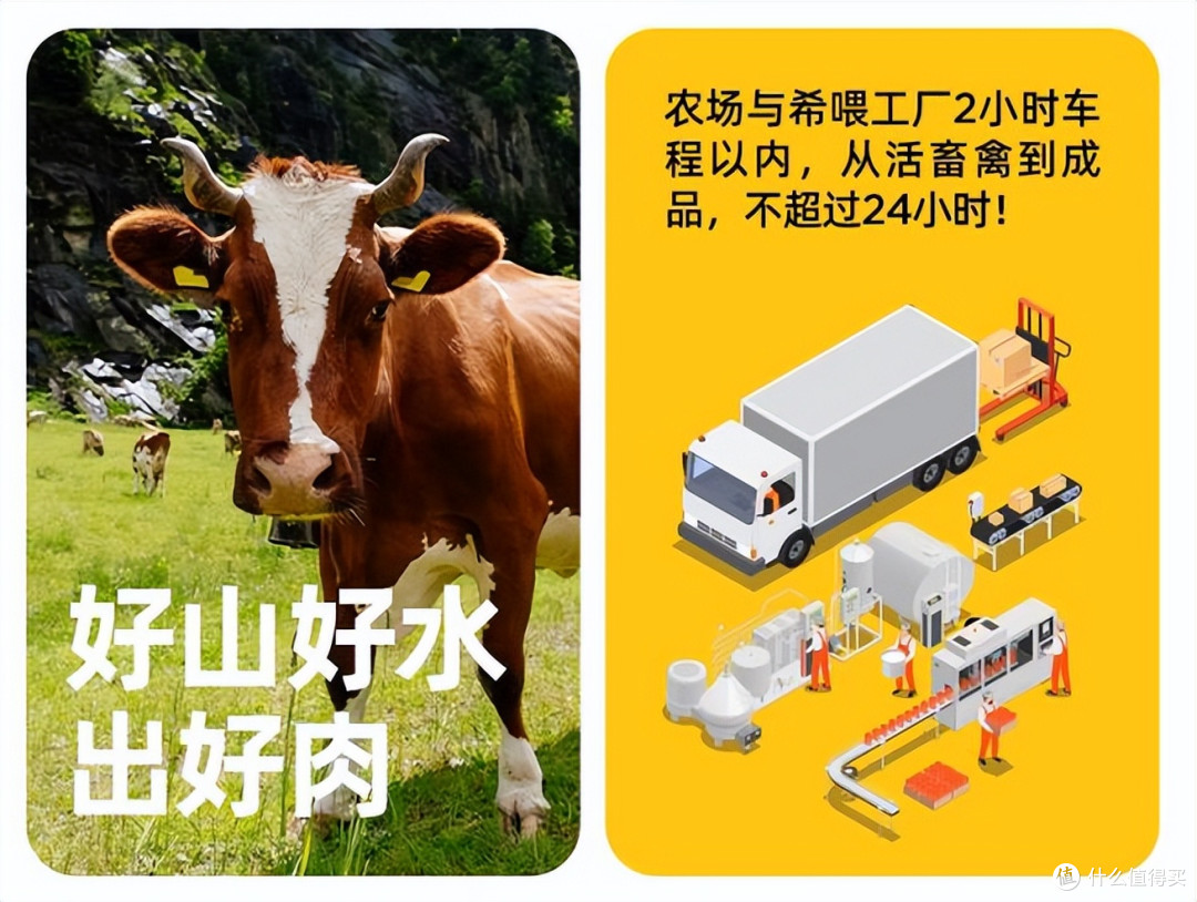 爆火的希喂烘焙狗粮，能不能放心吃？