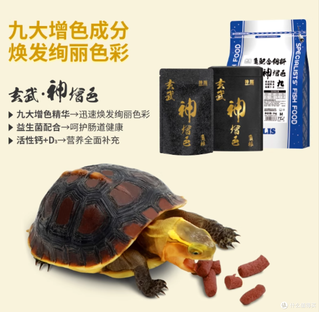 2025龟粮品牌推荐TOP5:从发色到冬眠囤货,精准匹配养龟核心需求
