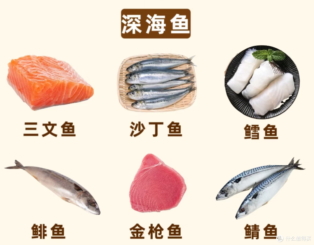 鱼油，养生神器还是智商税？ 关于鱼油的真相，别再被忽悠了！