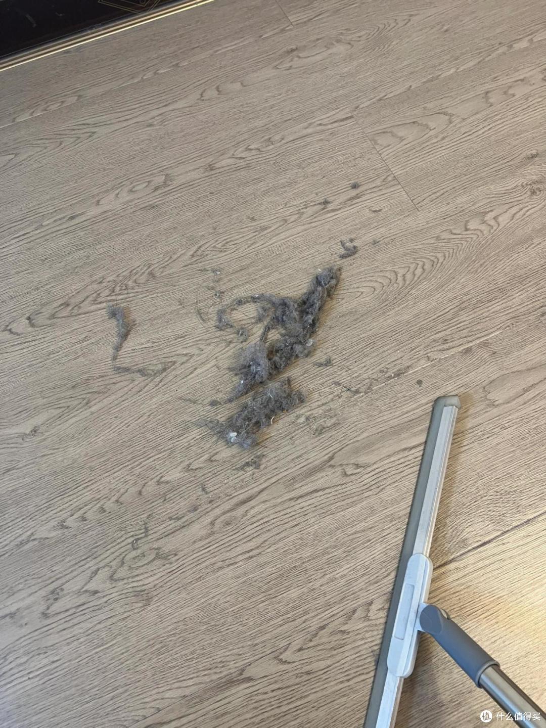 每天都擦地,毛絮还是有很多,到底怎么做,这些毛絮才会变干净?