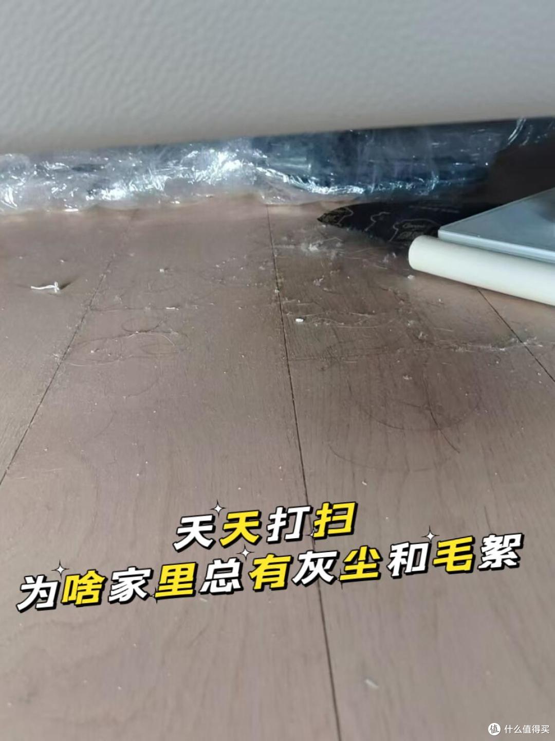 每天都擦地,毛絮还是有很多,到底怎么做,这些毛絮才会变干净?