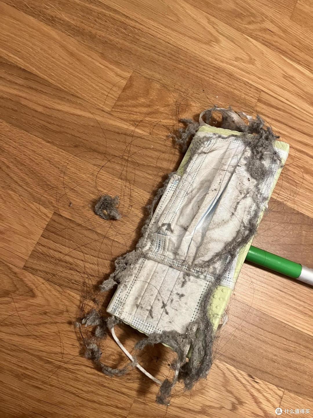 每天都擦地,毛絮还是有很多,到底怎么做,这些毛絮才会变干净?