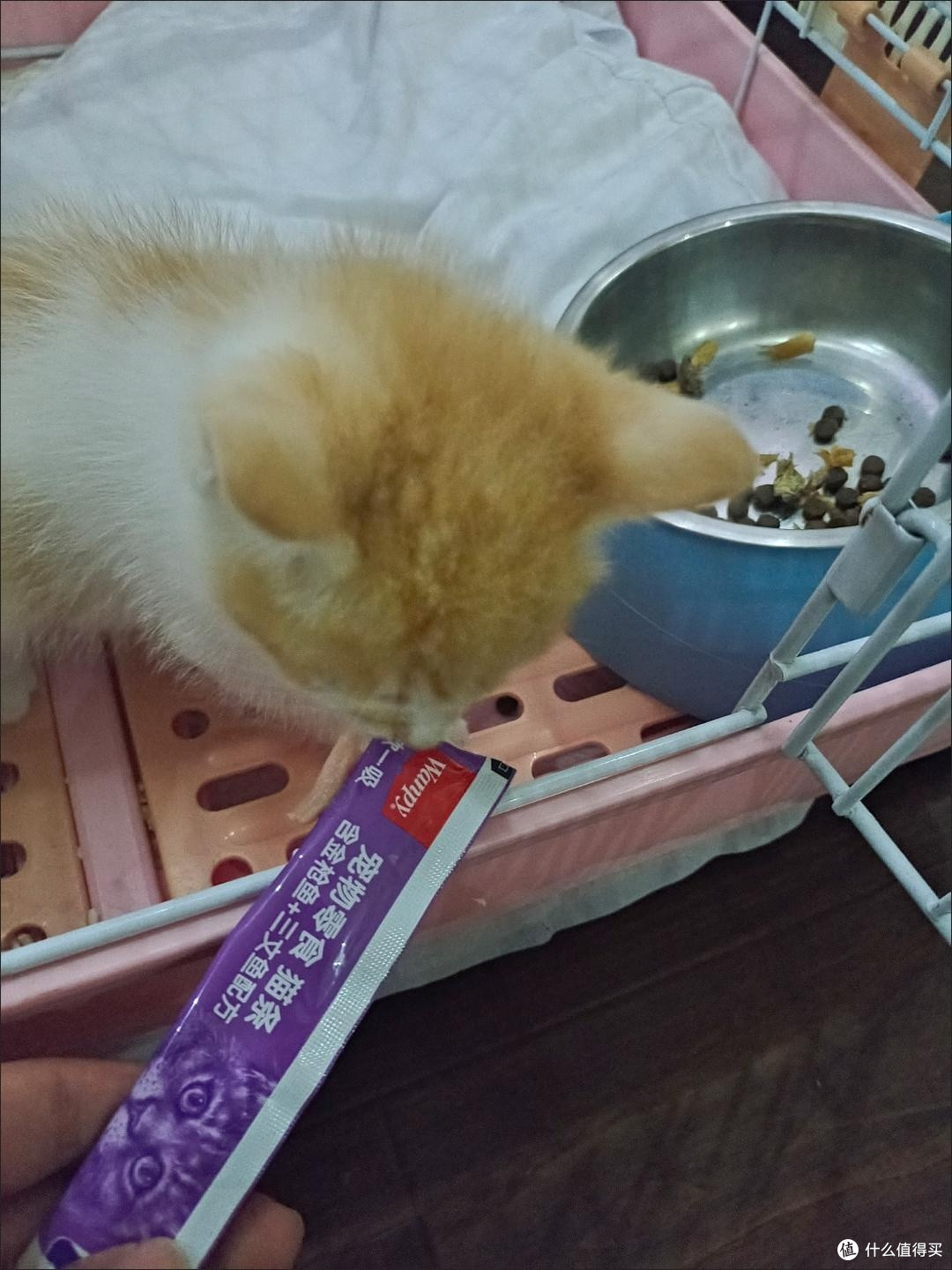 Wanpy顽皮欧一吸猫条:幼猫成猫都爱的营养零食湿粮包