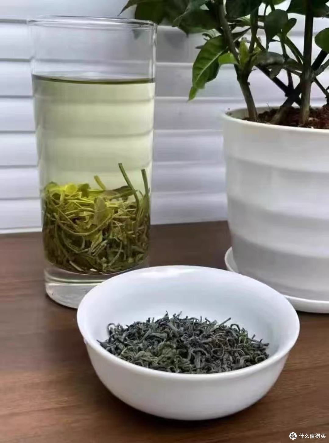 江壶茶客云雾绿茶2025明前新茶实测!口粮茶选它真的香到跺脚✨
