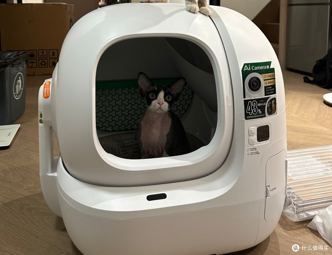 多猫家庭闭眼冲!小佩MAX PRO2自动猫砂盆深度体验