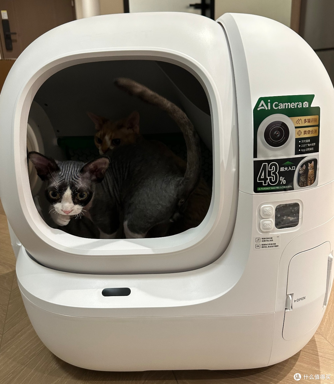 多猫家庭闭眼冲!小佩MAX PRO2自动猫砂盆深度体验