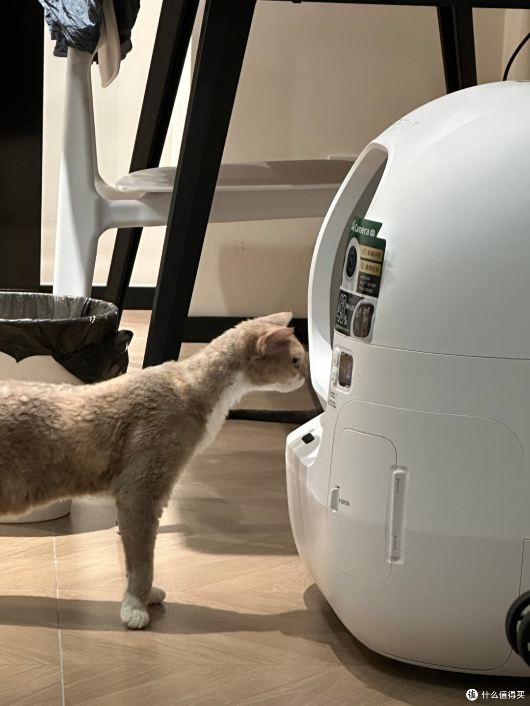 多猫家庭闭眼冲!小佩MAX PRO2自动猫砂盆深度体验
