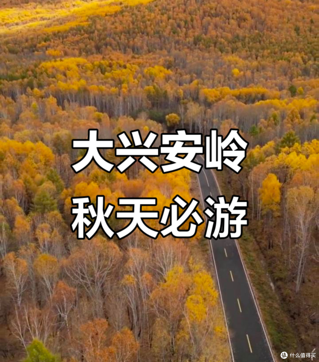 11月的大兴安岭美到失语!白雪林海,随手拍都是壁纸