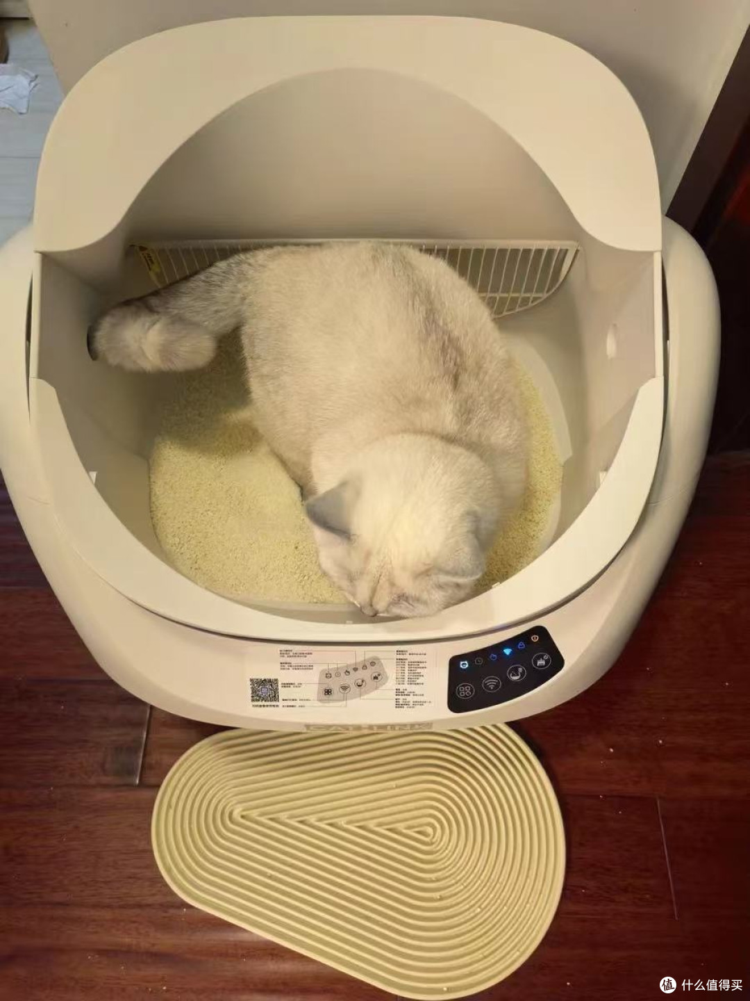 养猫人的省心利器!CATLINK胖宝自动猫砂盆:多猫家庭的救星