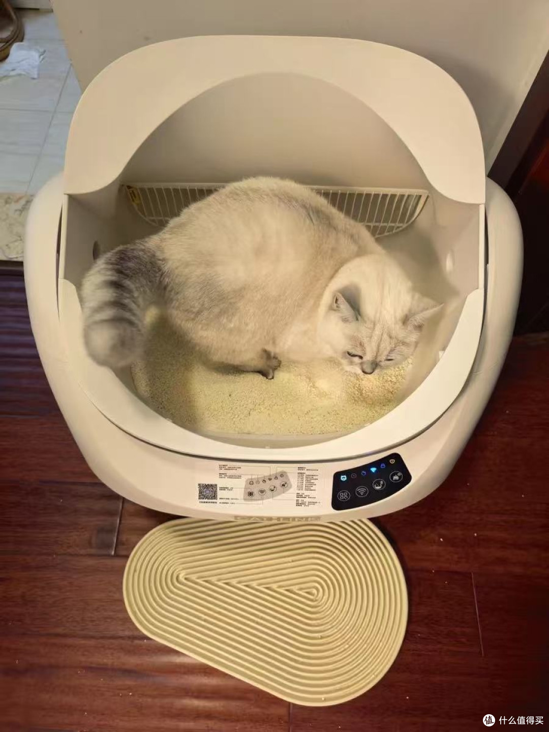 养猫人的省心利器!CATLINK胖宝自动猫砂盆:多猫家庭的救星