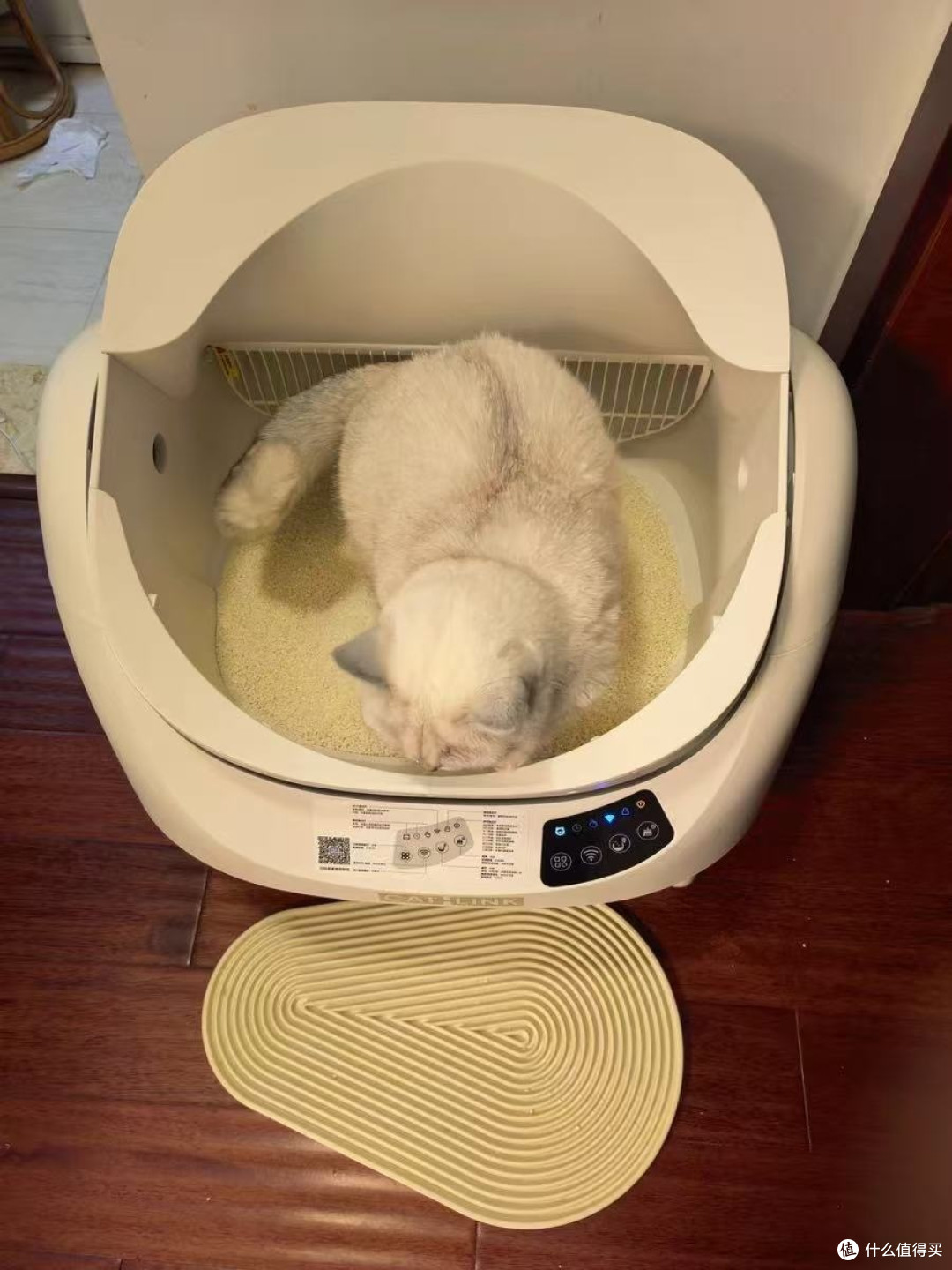 养猫人的省心利器!CATLINK胖宝自动猫砂盆:多猫家庭的救星