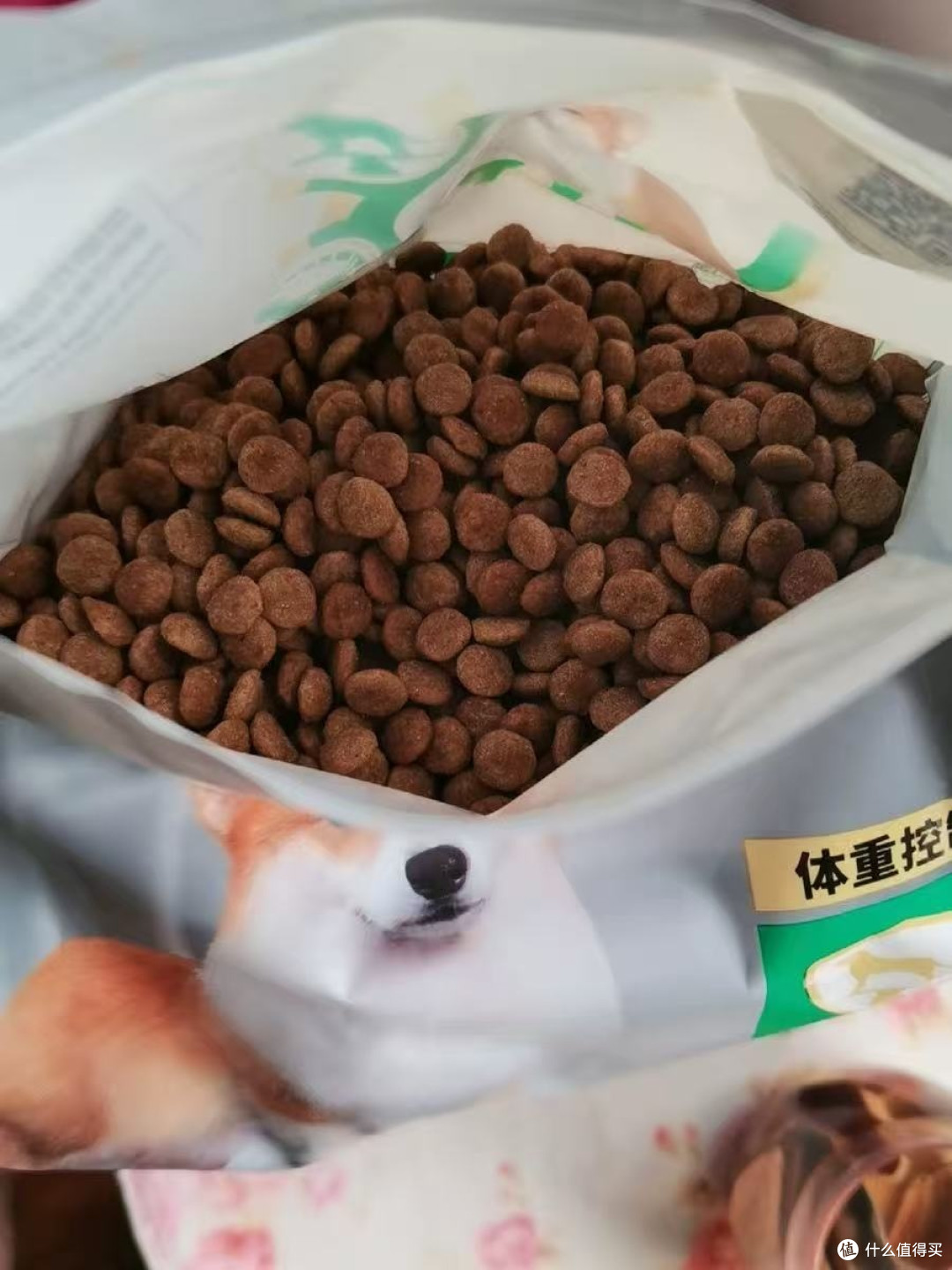 冠能成犬狗粮:我家狗狗的健康守护者