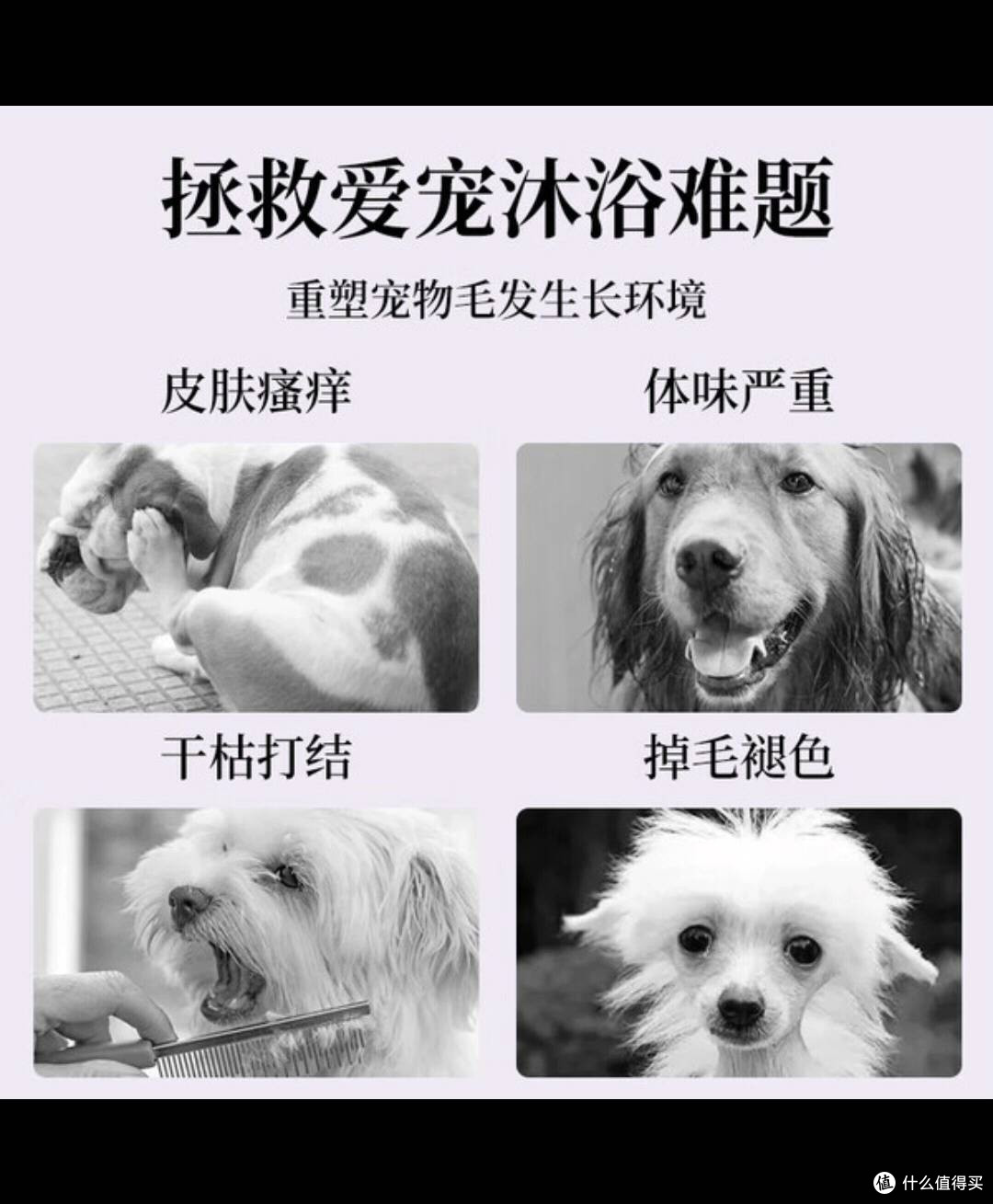 雪貂留香沐浴露:多宠适用,守护皮毛健康