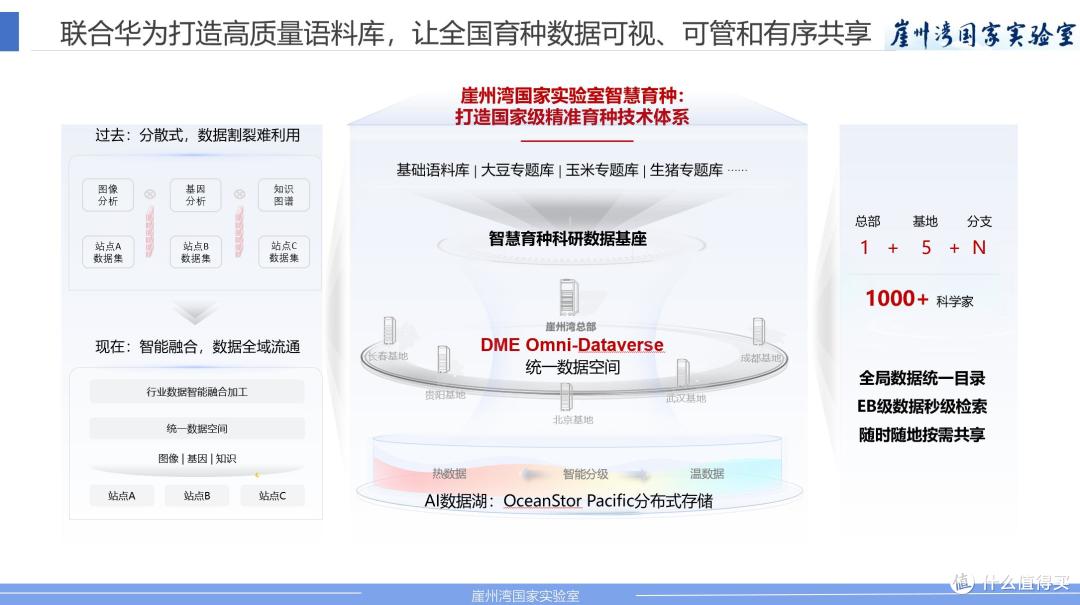 田埂下的 “数据基座”:育中国好种,端中国饭碗