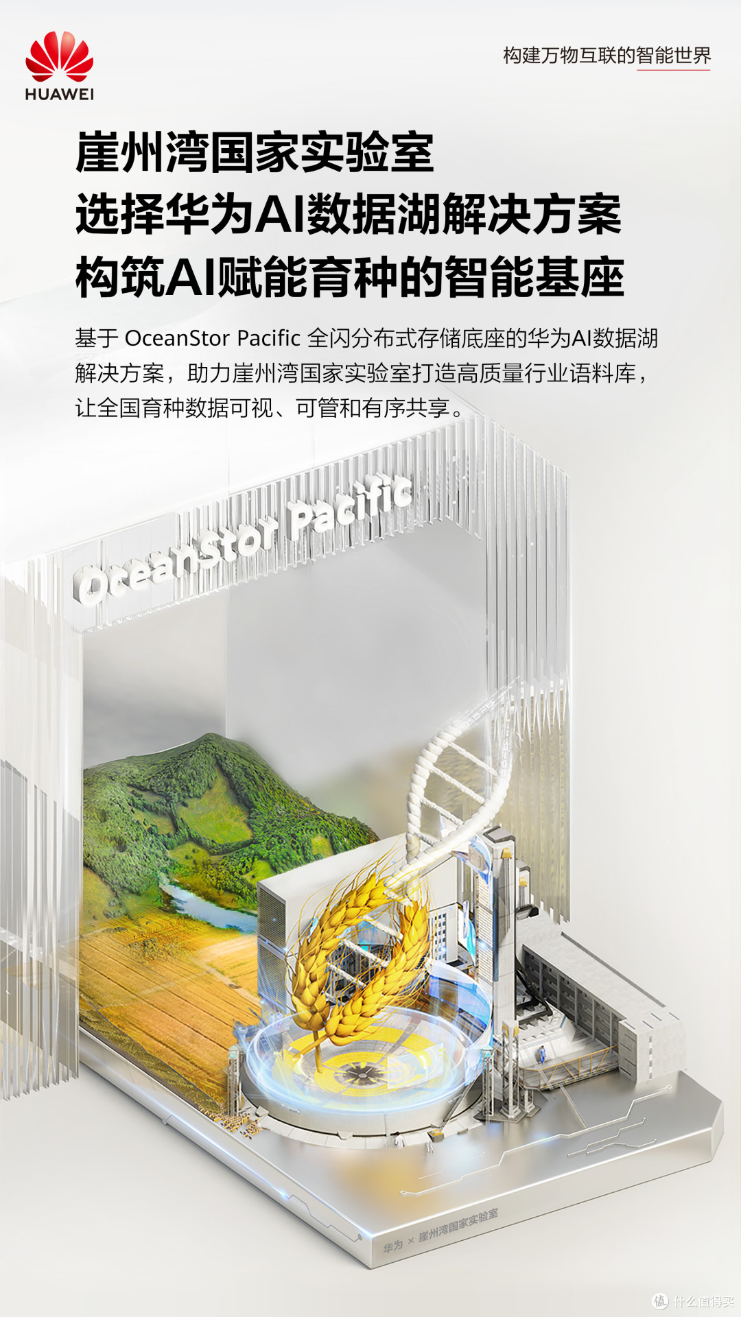 田埂下的 “数据基座”:育中国好种,端中国饭碗