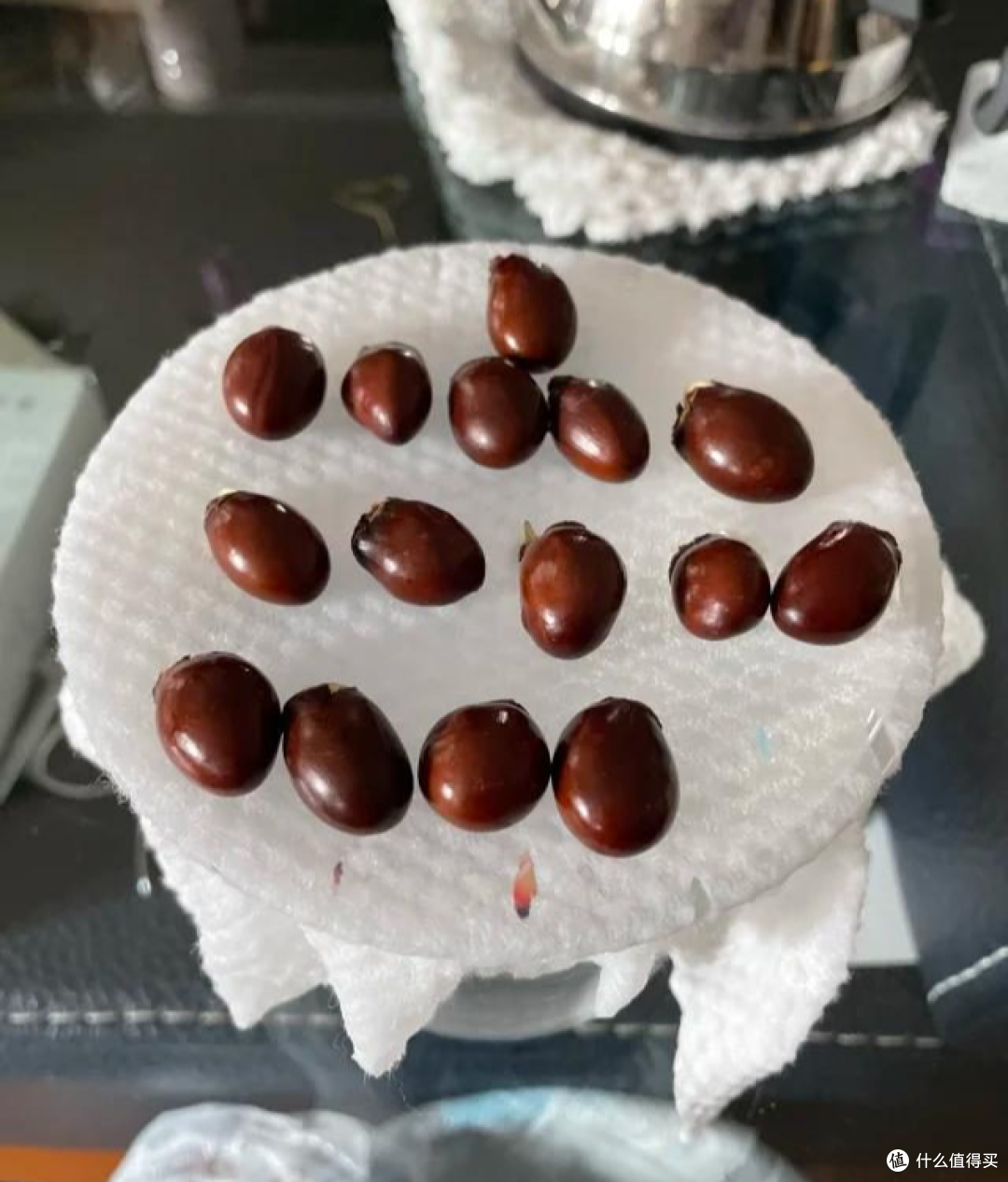 使用过的洗脸巾只可以丢掉吗？换个思路以后，一张都不会浪费掉！