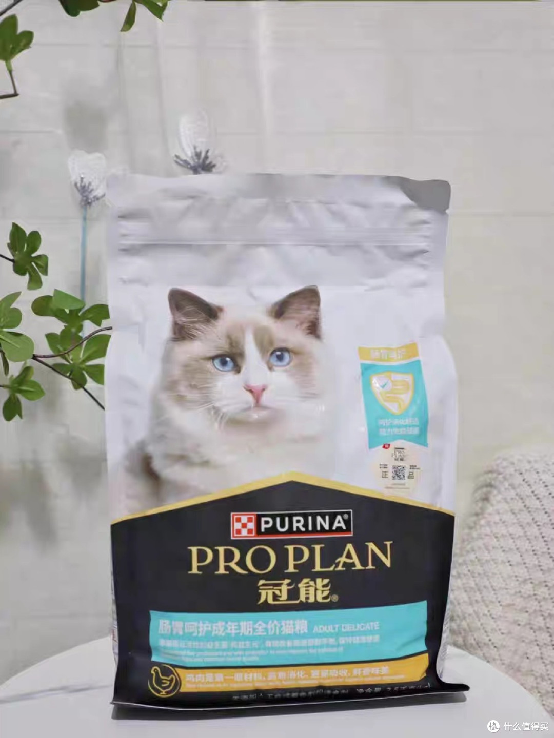 冠能猫粮让我家猫告别肠胃烦恼