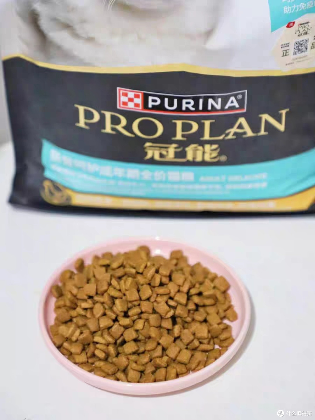 冠能猫粮让我家猫告别肠胃烦恼