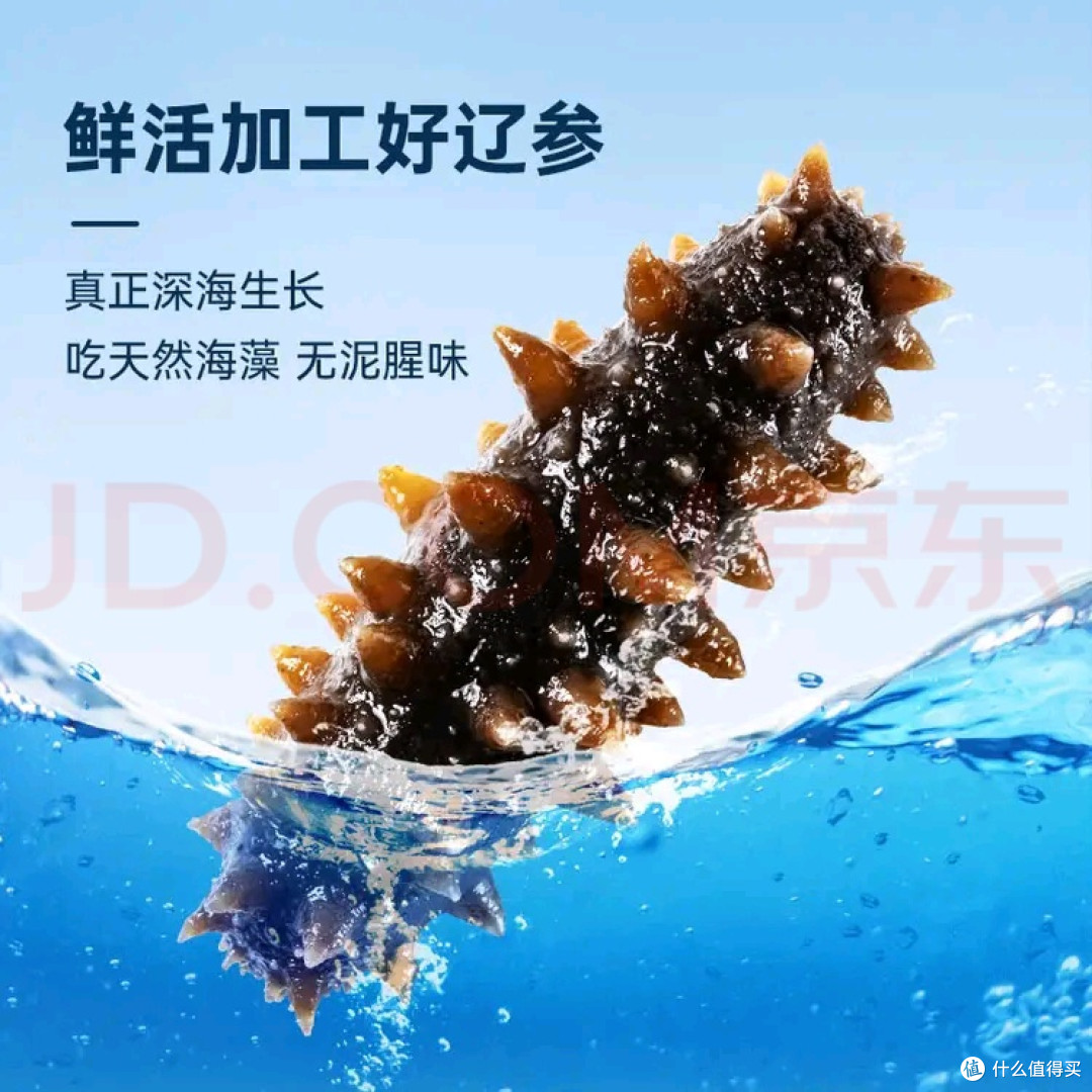 双11囤对鲜京采即食海参:原来滋补从不用“慢等”