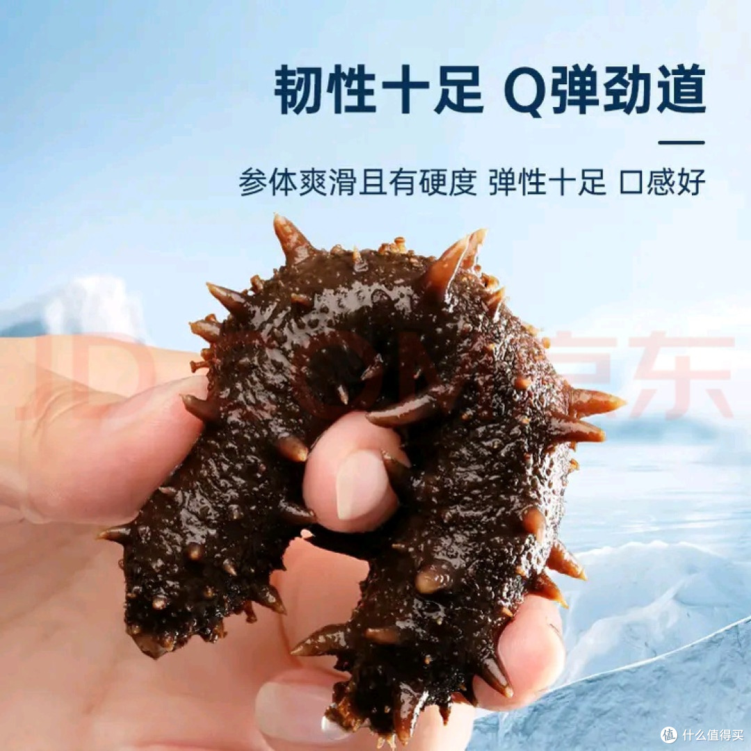 双11囤对鲜京采即食海参:原来滋补从不用“慢等”