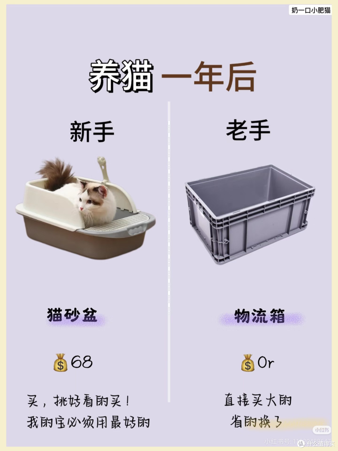 养猫小结嘻嘻