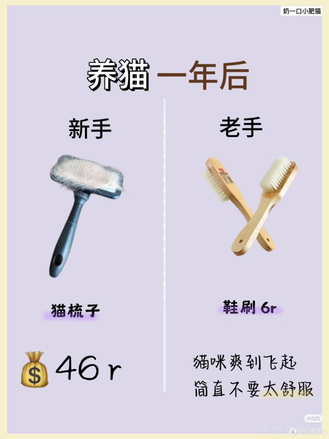 养猫小结嘻嘻