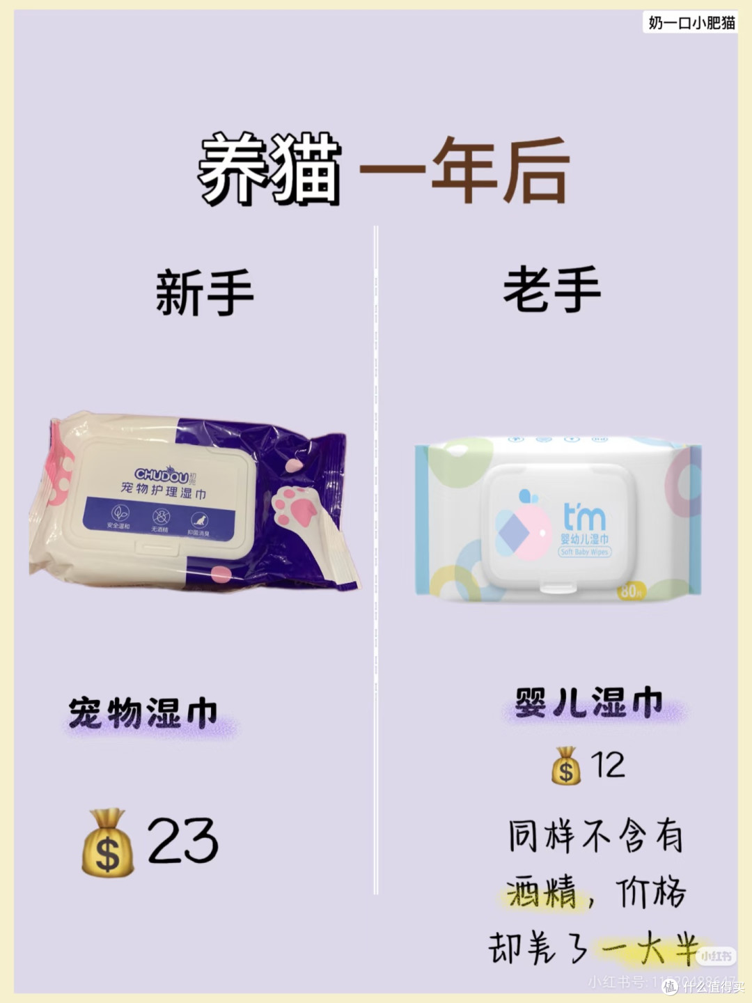 养猫小结嘻嘻