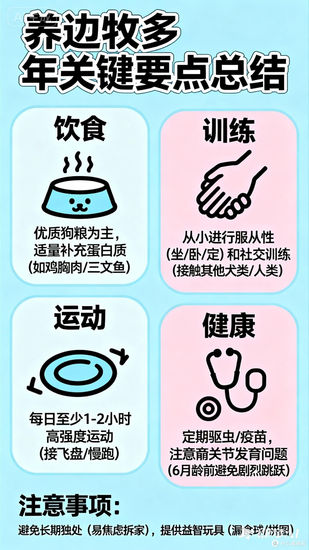 养边牧多年，总结出的关键要点