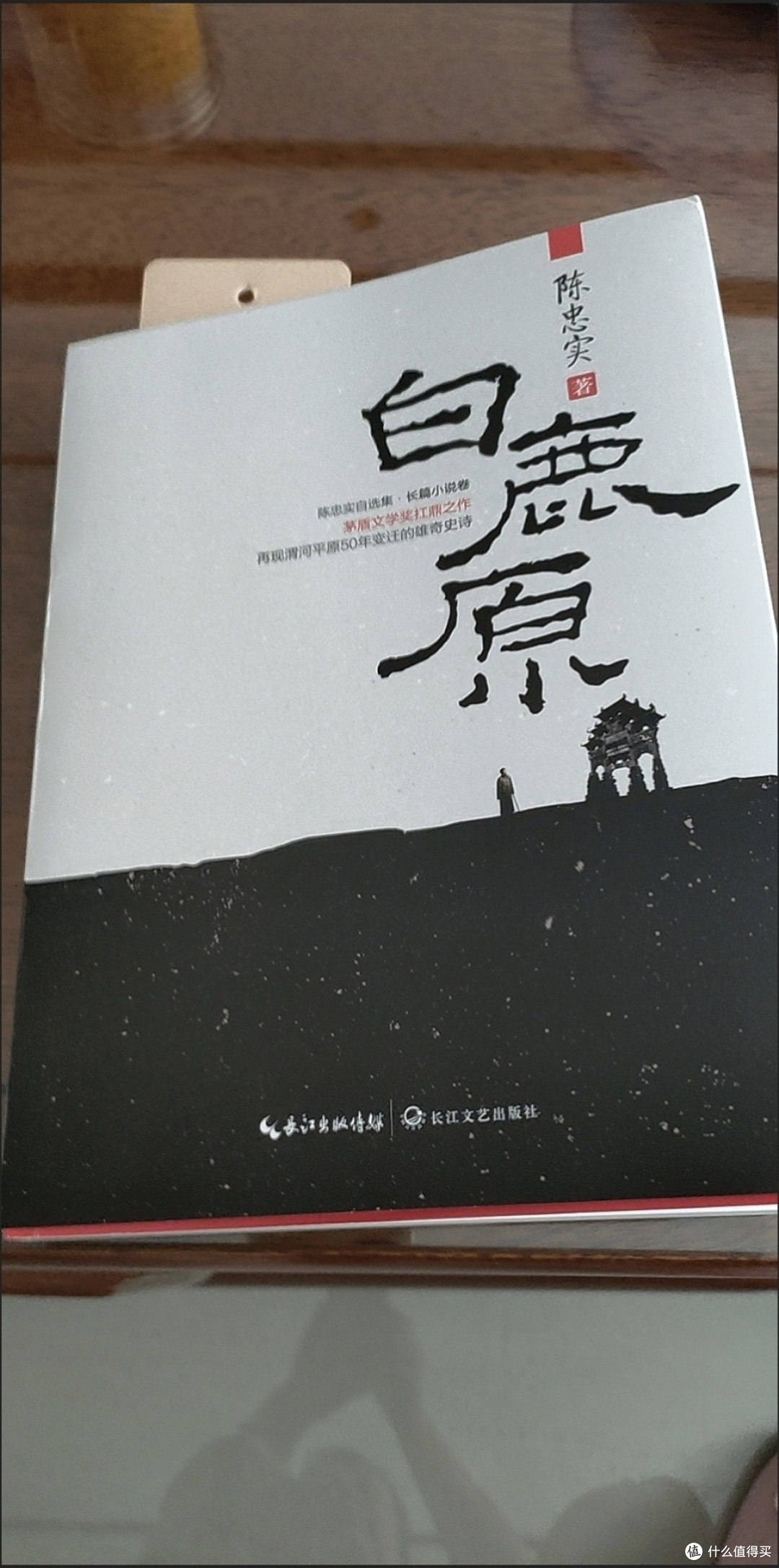 从白鹿村看传统与现代的冲突