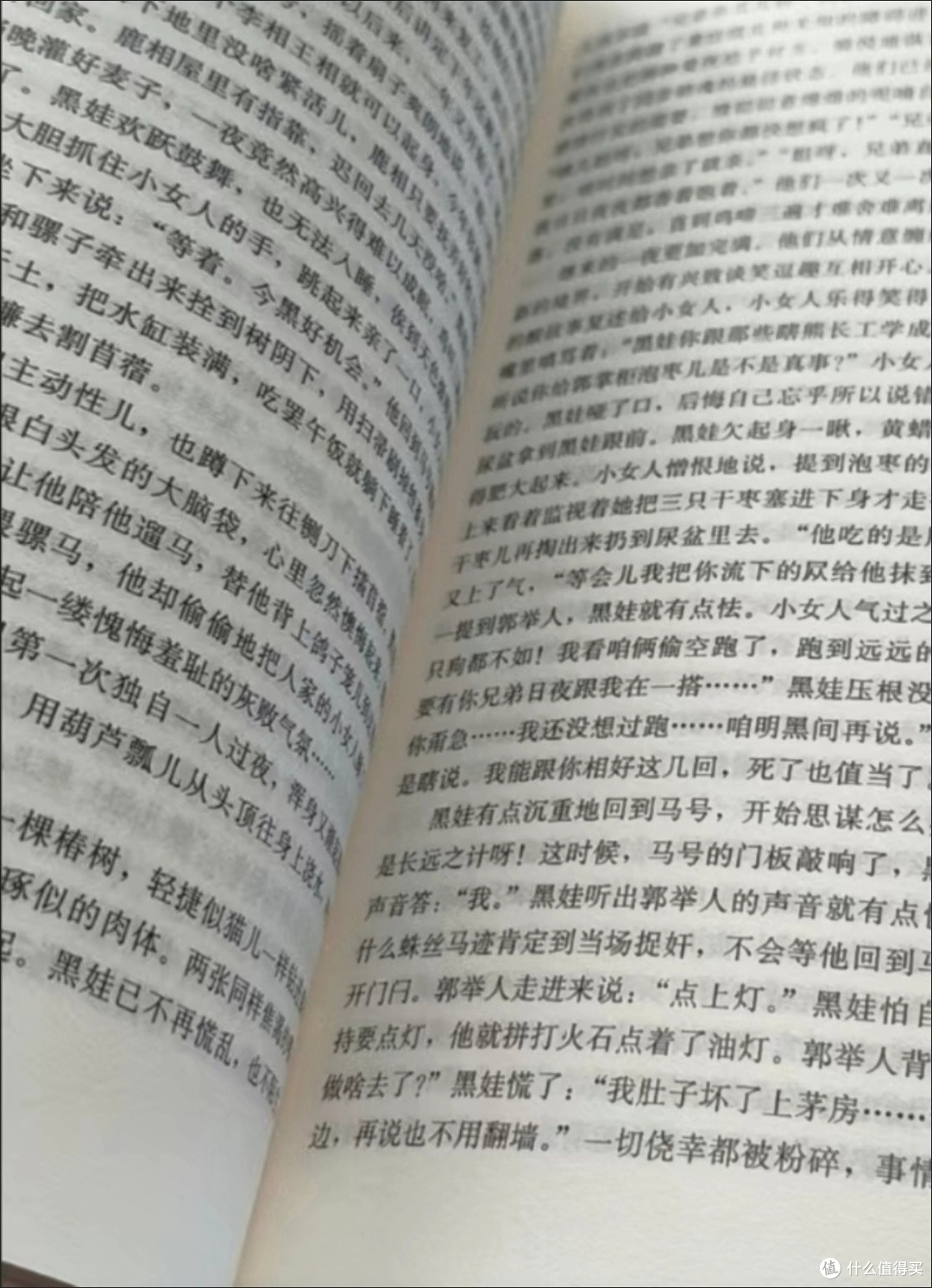 从白鹿村看传统与现代的冲突