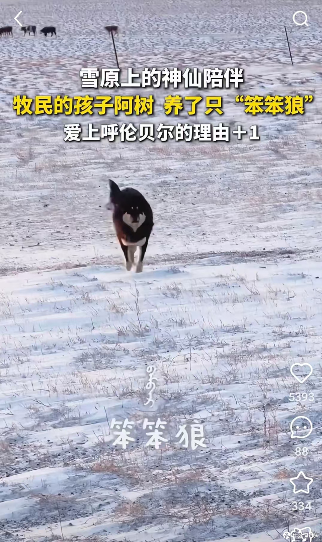 《小神兽•中国原创幻想故事》:藏在奇幻世界了的温柔力量